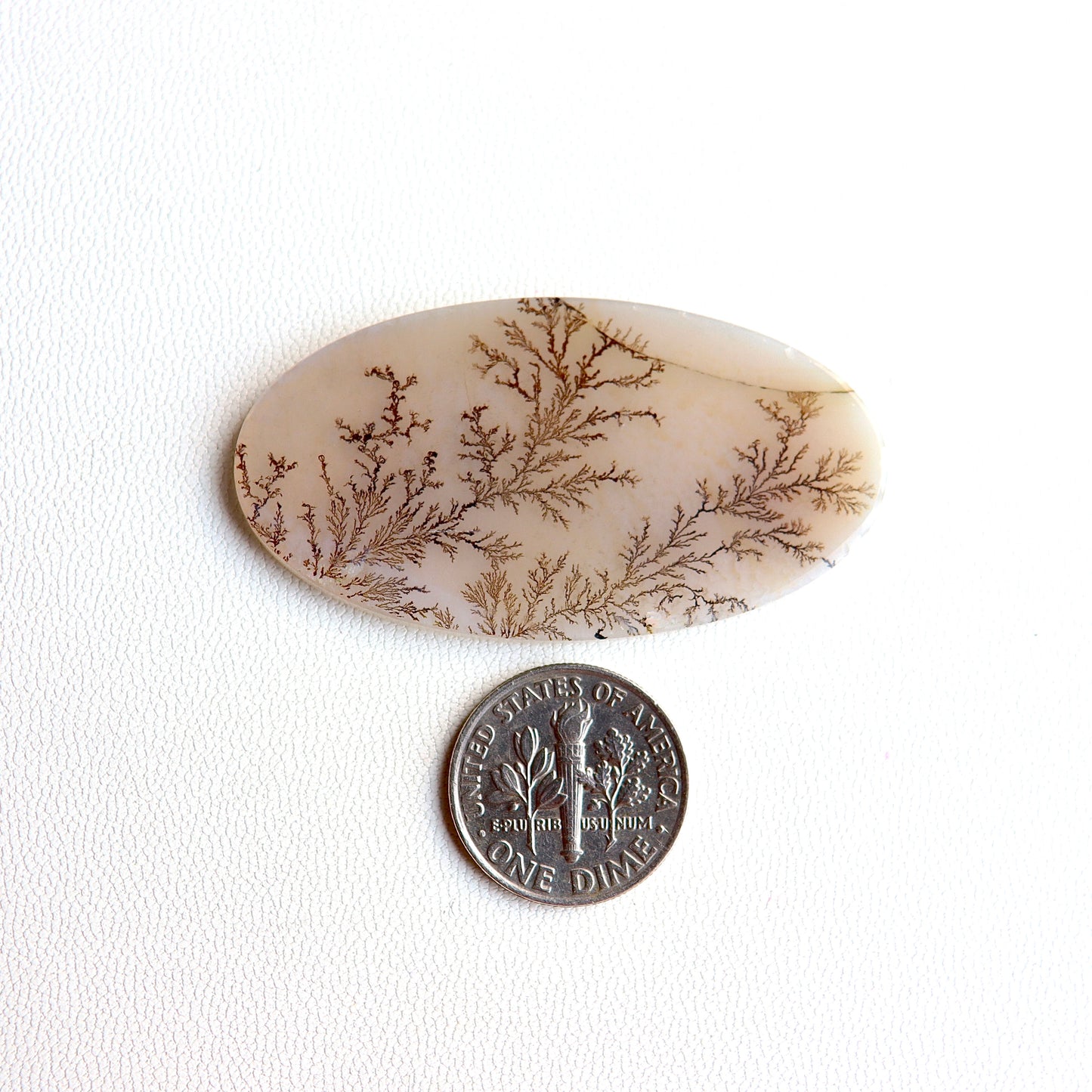 Dendritic Agate Cabochon - Scenic Agate - Dendrite Agate Cabochon