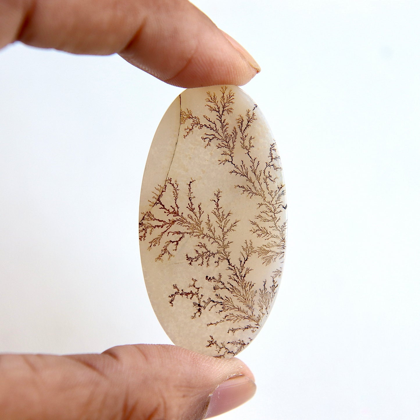 Dendritic Agate Cabochon - Scenic Agate - Dendrite Agate Cabochon