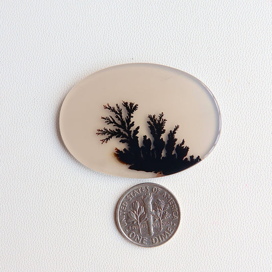 Dendritic Agate Cabochon - Scenic Agate - Dendrite Agate Cabochon