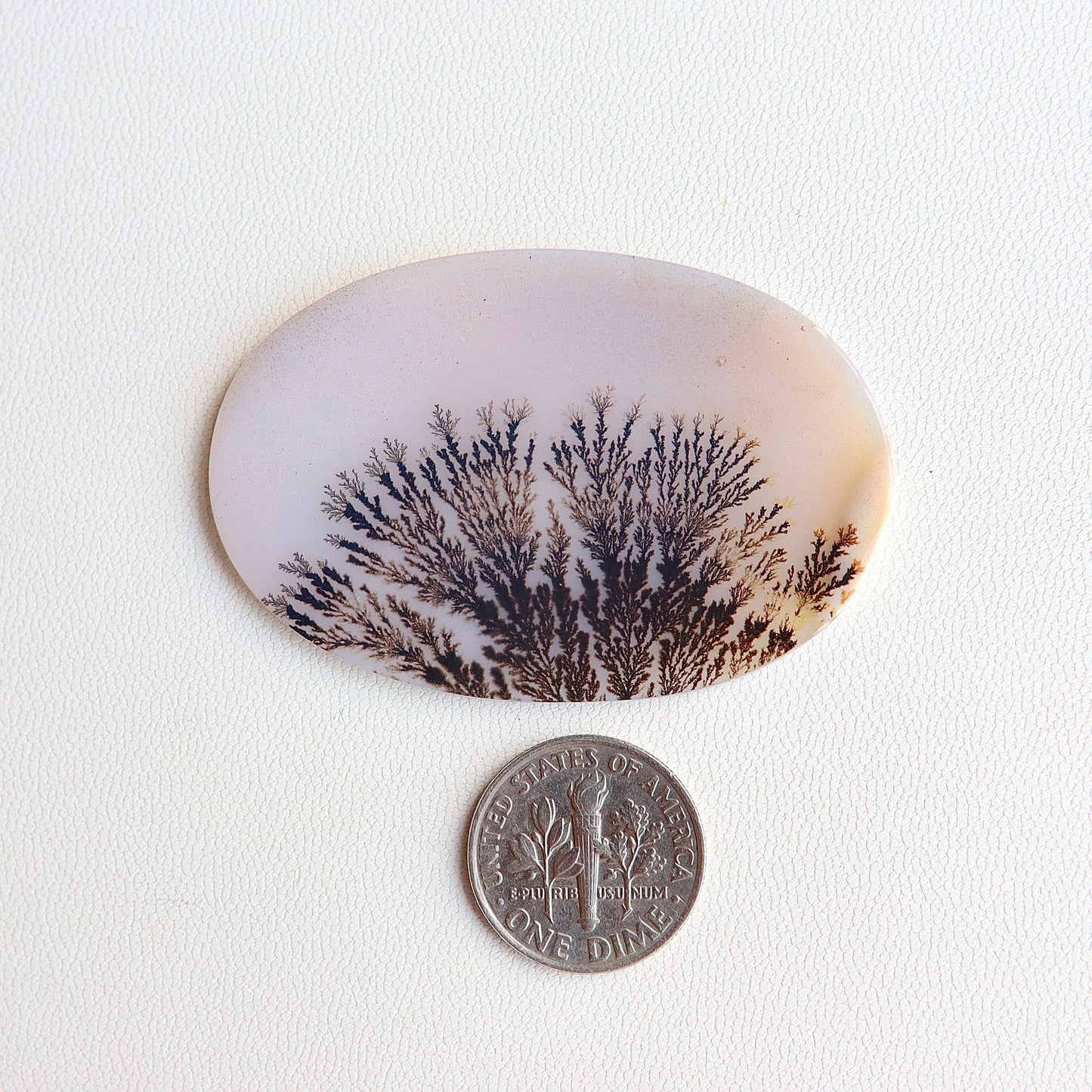 Dendritic Agate Cabochon - Scenic Agate - Dendrite Agate Cabochon