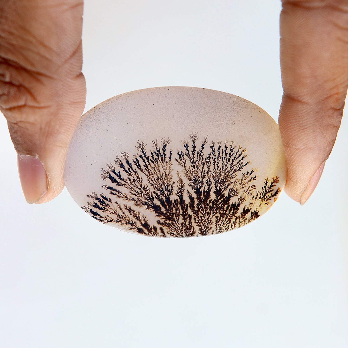 Dendritic Agate Cabochon - Scenic Agate - Dendrite Agate Cabochon