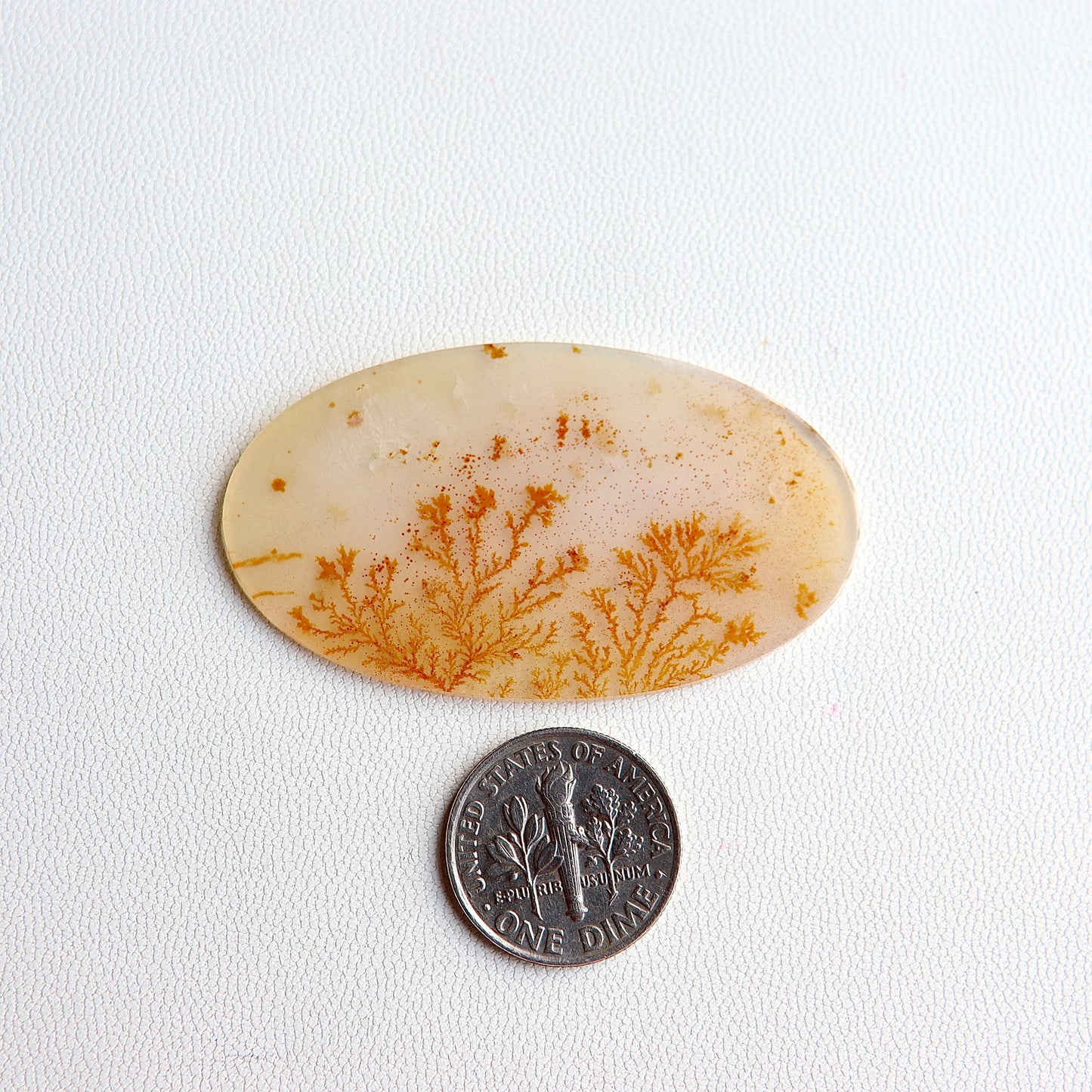 Dendritic Agate Cabochon - Scenic Agate - Dendrite Agate Cabochon