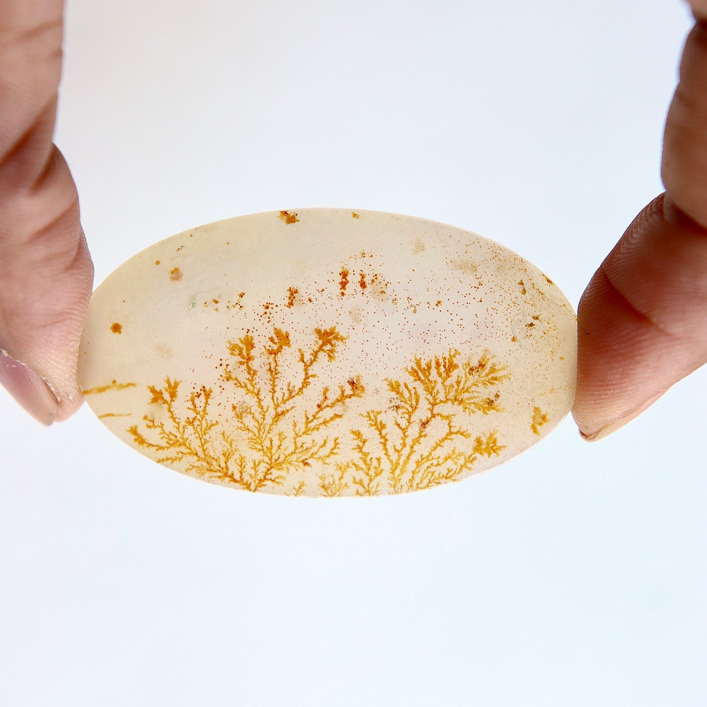 Dendritic Agate Cabochon - Scenic Agate - Dendrite Agate Cabochon