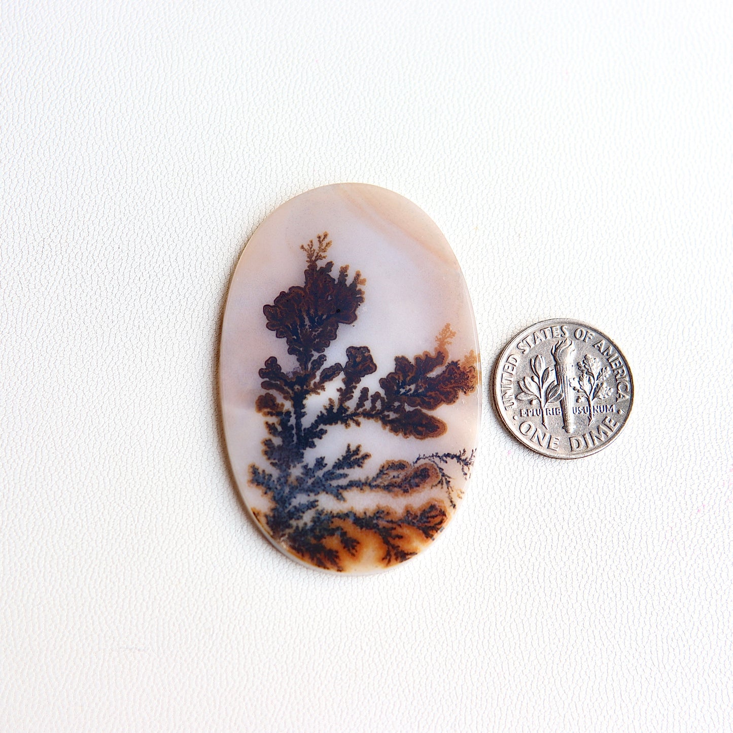 Dendritic Agate Cabochon - Scenic Agate - Dendrite Agate Cabochon