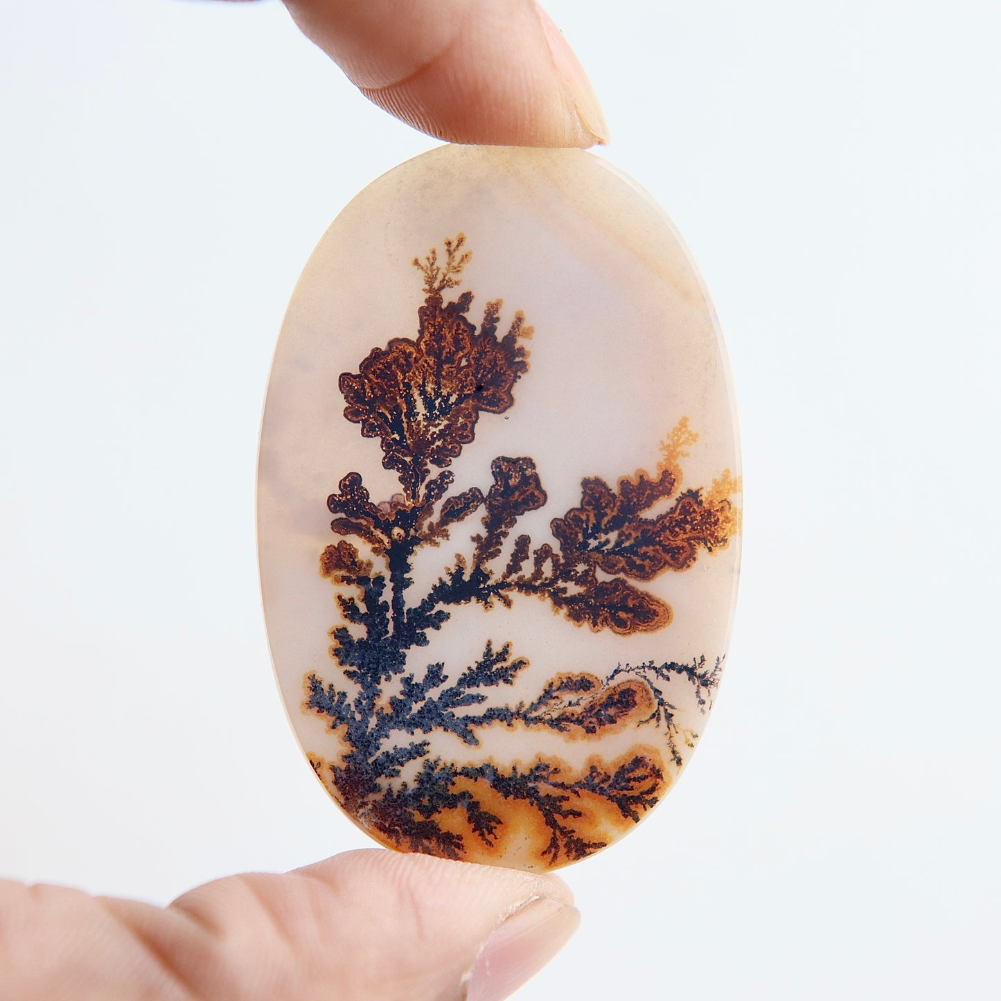 Dendritic Agate Cabochon - Scenic Agate - Dendrite Agate Cabochon