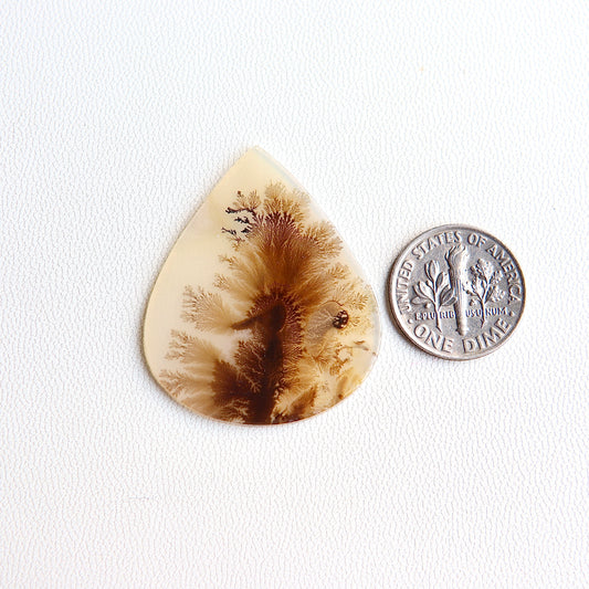 Dendritic Agate Cabochon - Scenic Agate - Dendrite Agate Cabochon