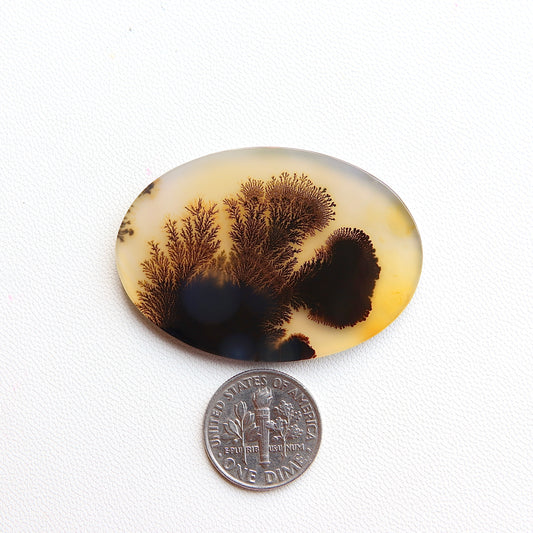 Dendritic Agate Cabochon - Scenic Agate - Dendrite Agate Cabochon