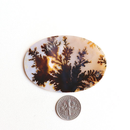 Dendritic Agate Cabochon - Scenic Agate - Dendrite Agate Cabochon