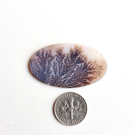 Dendritic Agate Cabochon - Scenic Agate - Dendrite Agate Cabochon