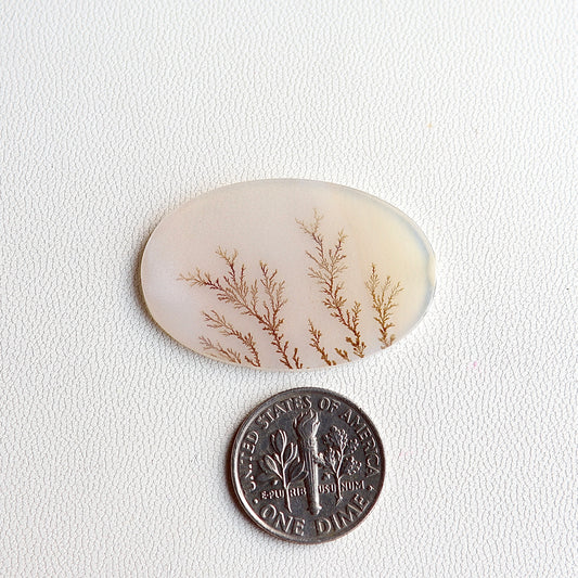 Dendritic Agate Cabochon - Scenic Agate - Dendrite Agate Cabochon