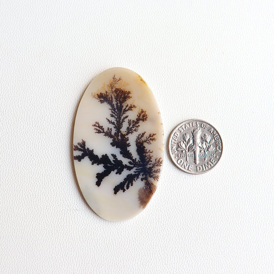 Dendritic Agate Cabochon - Scenic Agate - Dendrite Agate Cabochon