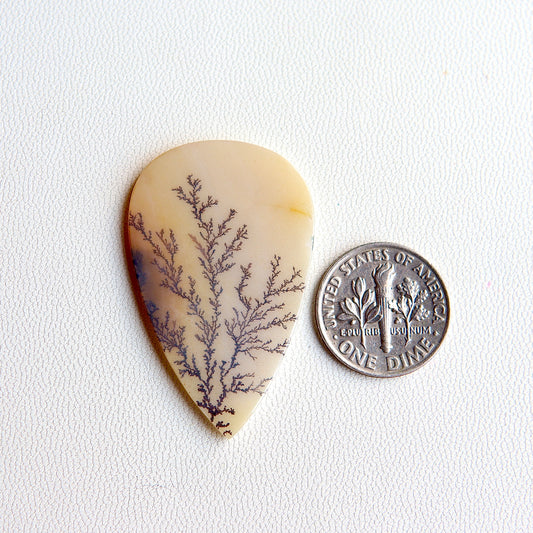 Dendritic Agate Cabochon - Scenic Agate - Dendrite Agate Cabochon