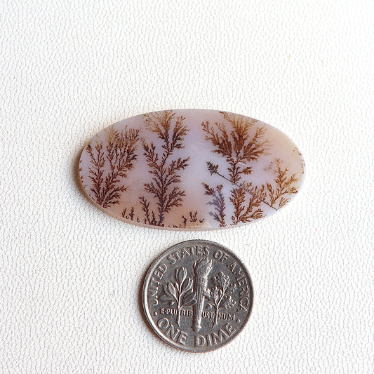 Dendritic Agate Cabochon - Scenic Agate - Dendrite Agate Cabochon