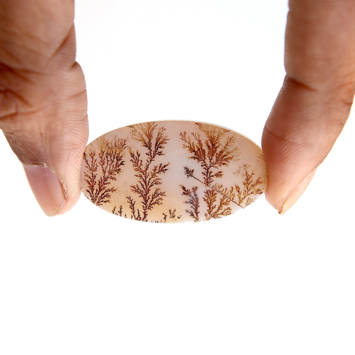 Dendritic Agate Cabochon - Scenic Agate - Dendrite Agate Cabochon