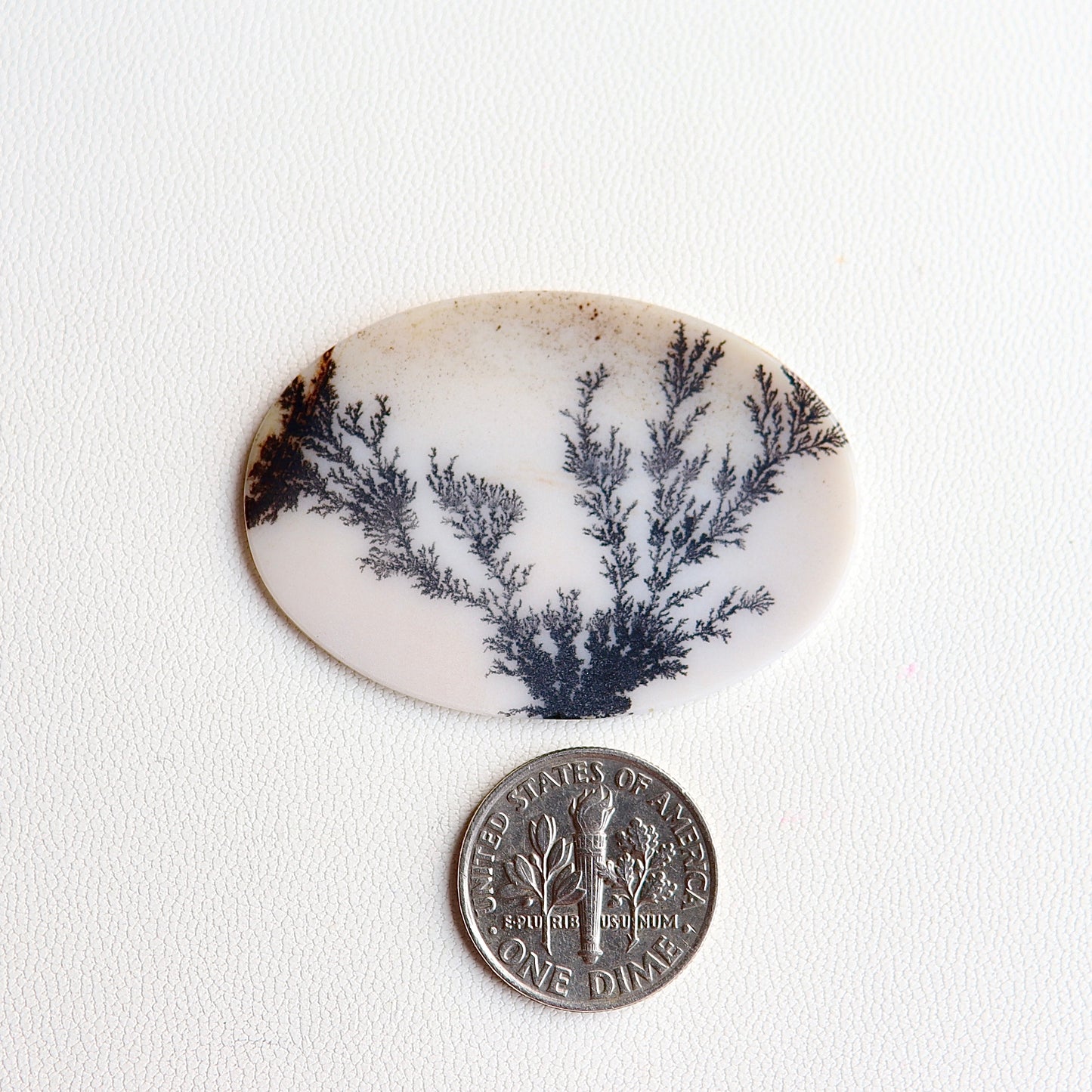 Dendritic Agate Cabochon - Scenic Agate - Dendrite Agate Cabochon