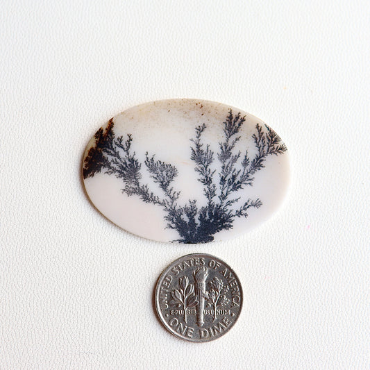 Dendritic Agate Cabochon - Scenic Agate - Dendrite Agate Cabochon