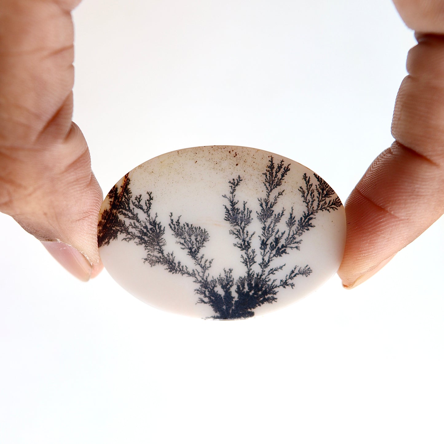 Dendritic Agate Cabochon - Scenic Agate - Dendrite Agate Cabochon