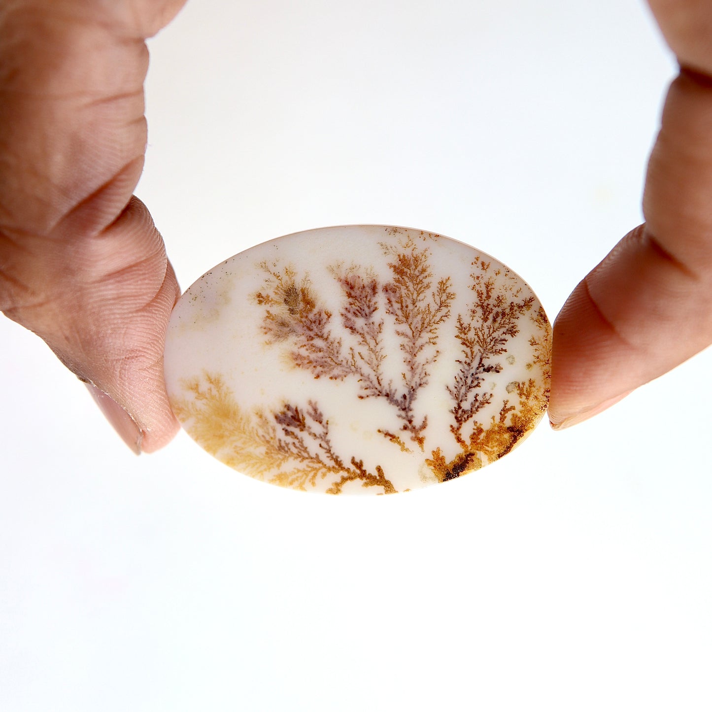 Dendritic Agate Cabochon - Scenic Agate - Dendrite Agate Cabochon