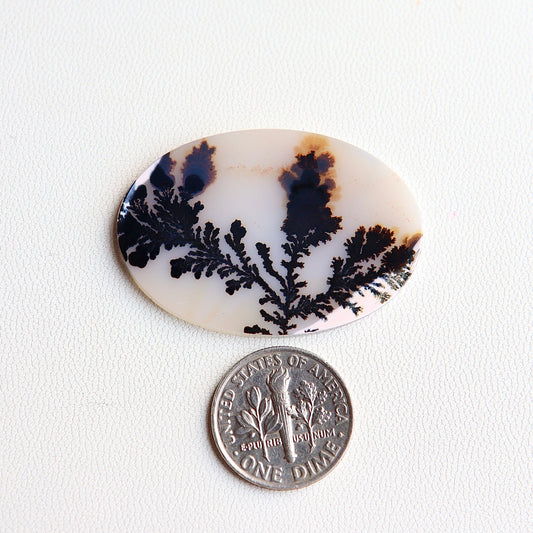 Dendritic Agate Cabochon - Scenic Agate - Dendrite Agate Cabochon