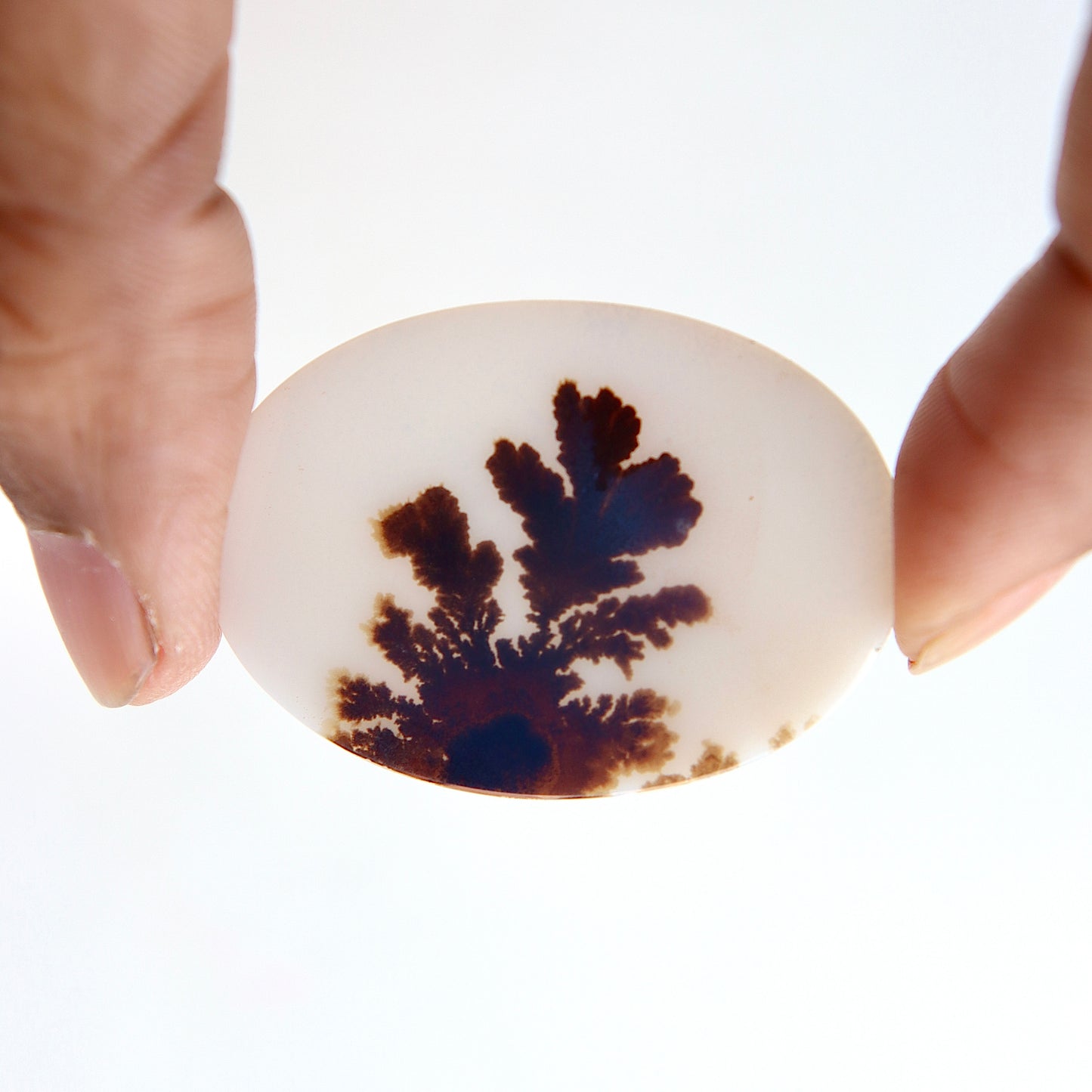 Dendritic Agate - Indian Scenic - Tree Aagate