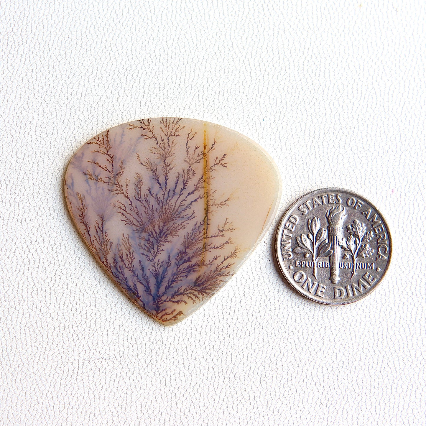 Clear Tree Fern Drop Agate