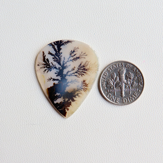 Dendritic Agate - Indian Shazar Stone