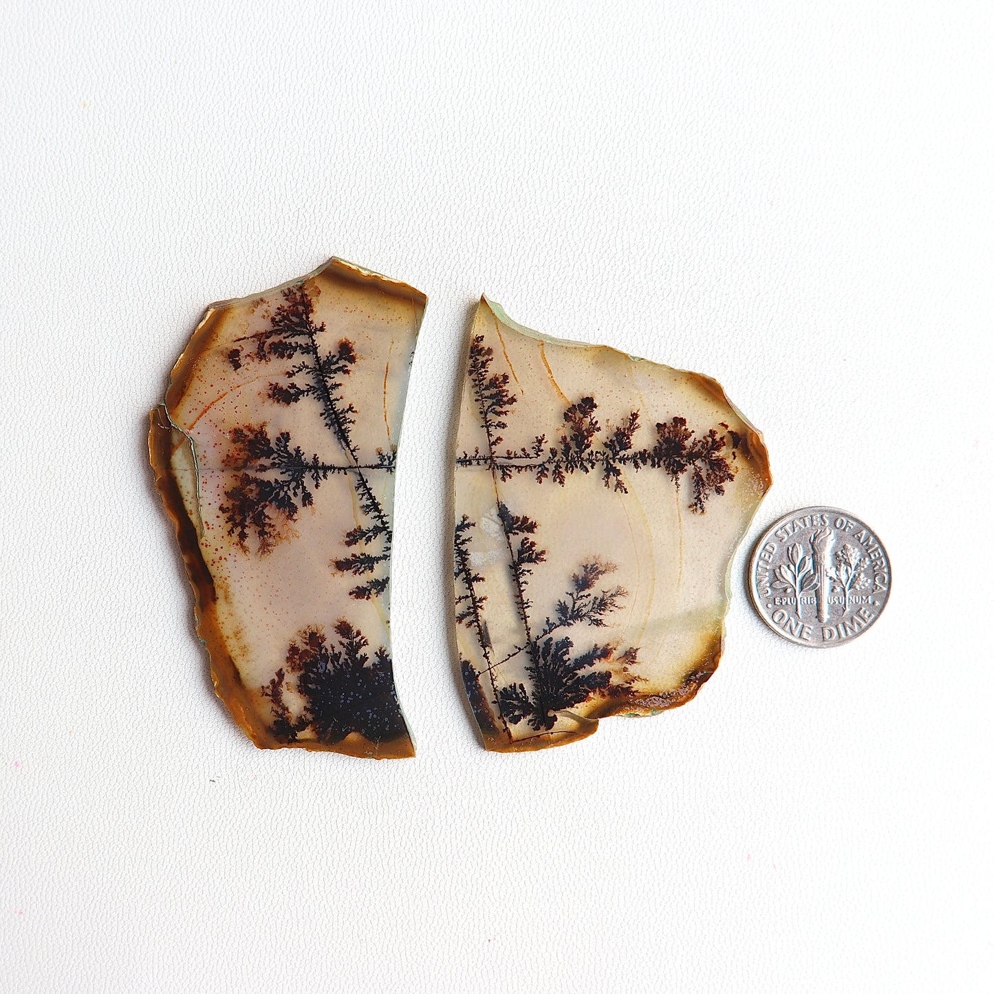 Museum Grade two pieces slice Agate Cabochon - Scenic Agate - Dendrite Agate